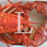 Blog Post: L is for Lobster with a View