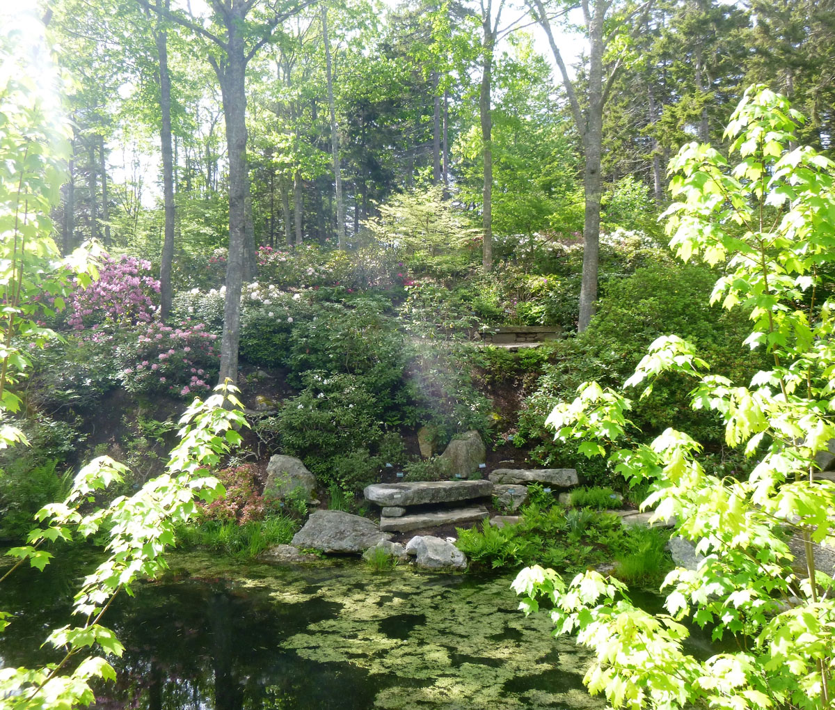 An Afternoon At The Coastal Maine Botanical Gardens In Boothbay