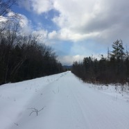 mountain-division-trail-4