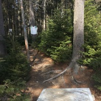 Harpswell Cliff Trail (3)
