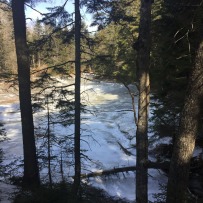 Harpswell Cliff Trail (4)