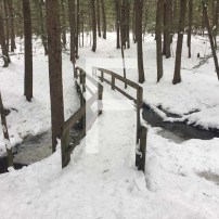 F is for Four Winter Hikes and Extra Points in Scattegories