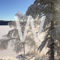W is for Walking in a Winter Wonderland